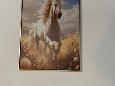 Studio meublées relax +