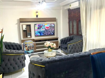 THE LUXURY APARTMENT - Studio meublé