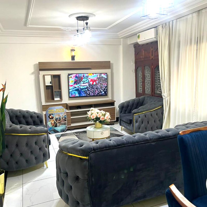 THE LUXURY APARTMENT - Studio meublé